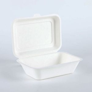 Heavy Duty 100% Natural Sugarcane Biodegradable Compostable Bagasse, Eco