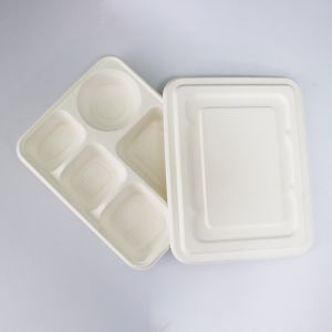 New item Compostable bagasse oblong 5 section compartment dinner Plate