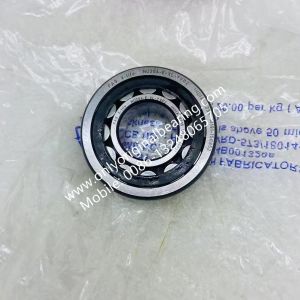100% Original FAG Germany Cylindrical Roller Bearings NU204-E-XL-TVP2
