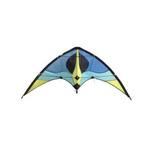 160*80cm Dual Line Delta Sport Kite For Autumn Season