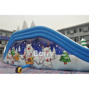 Customized Seals Tooth Inflatable Summer Blow Up Water Slides