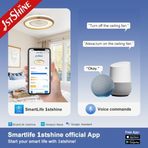 110-240V/50Hz-60Hz Input Voltage Stylish LED Ceiling Fan with 360 Degree Air