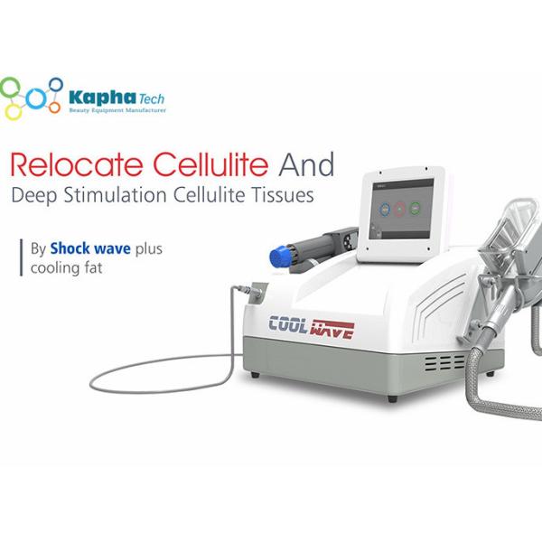 Buy Vacuum 150MM 80PCS Cryolipolsis Fat Freezing Machine at wholesale prices
