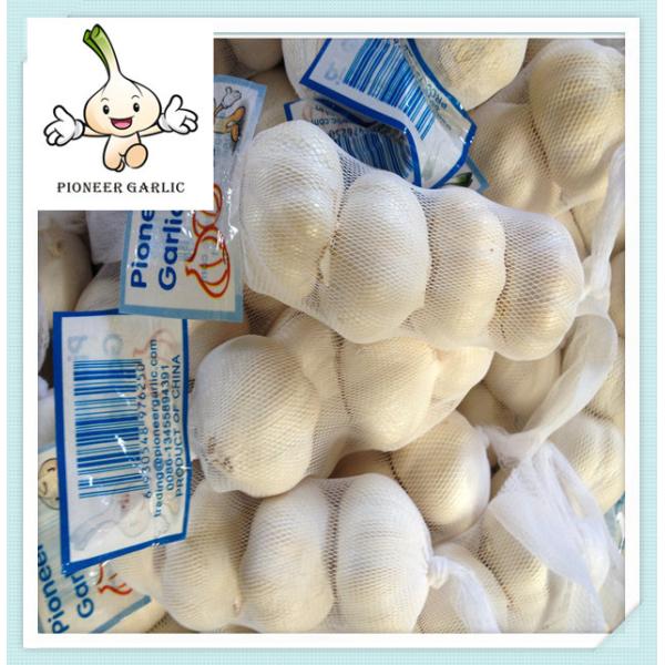Buy China New Crop Fresh White Garlic Lowest Price fresh garlic manufacturers at wholesale prices