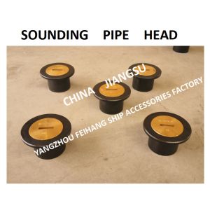 SOUNDING INJECTION HEAD, SOUNDING HEAD, TEMPERATURE MEASURING HEAD, SOUNDING