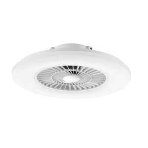 Ceiling Fan Light with Starlight Cover