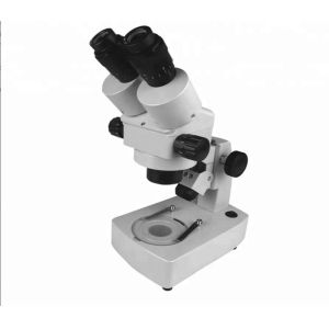 Stereo Microscope
