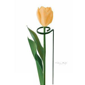 Stable Easy Install 7cm Open Single Stem Spiral Plant Stakes