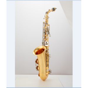 Saxophone Alto, Professional Saxophone , Saxophone Manufacturer Instruments