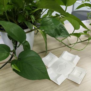 Buy cheap Environmentally friendly white sugarcane bagasse pulp molding with wet pressing from wholesalers