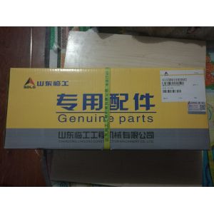 SDLG parts, WEICHAI engine parts, 4110001592002 612600082776 FUEL FILTER