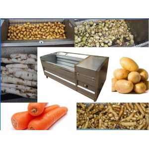Adjustable Speed Potato Processing Equipment , Fruit And Vegetable Processing