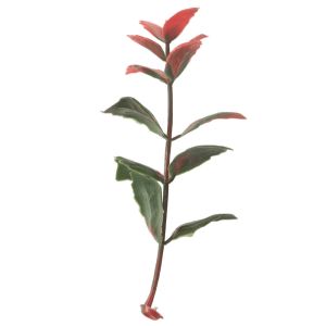 Outdoor Artificial Plant Panel Walls Decorative G717 25mm Dustproof PP