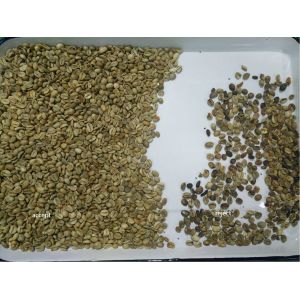 Wenyao 4 Chutes Coffee Bean Color Sorter Wifi Remote Control