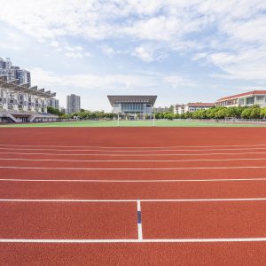 Quality Red Synthetic Track Surface Recyclable Spray Coating System Running Track for sale