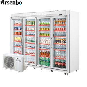 2700L 50HZ Commercial Beverage Refrigerator Silver Color For Drinks