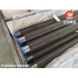 ASTM A106 GR.B Hfw Solid Welded Cs Steam Furnace Fin Tube