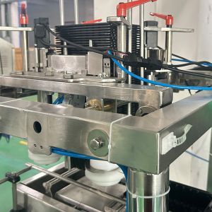 Ribeye Steaks Screw Multihead Weigher Plastic Box Packaging Equipment