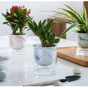 Creative Home Automatic Water Absorption Vase