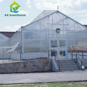 Plants Cultivation Single Span Polycarbonate PC Sheet Greenhouse with Stable