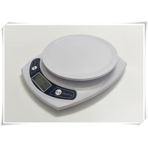 Professional Food Weight Scale Multi Unit Conversion / Fast Response