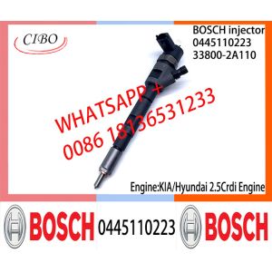 BOSCH Common fuel Injector 0445110186 0445110185 0445110222 0445110223 33800