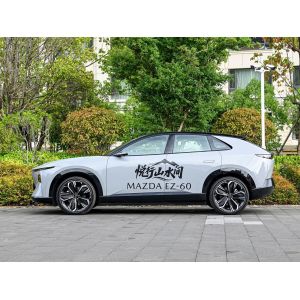 Popular Used Cars Basic Parameters for 1.71L/100km Electric Energy Equivalent