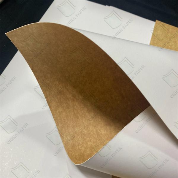 Buy 230g Food Grade Ckb Carrier Board Kraft Board Paperboard For Food Packaging at wholesale prices