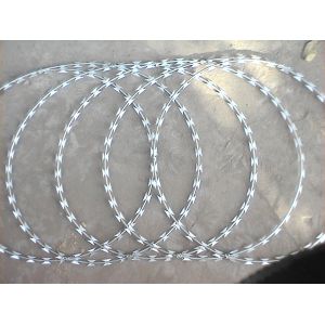 2.5mm Cbt-60 Barbed Concertina Wire Stainless Steel