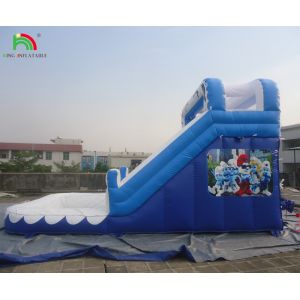 Commercial Water Slide Inflatable Kids Outdoor Double Lane Inflatable Water