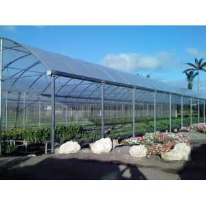 Multi Span Film Hydroponic Garden Greenhouse 10X30m Customizable