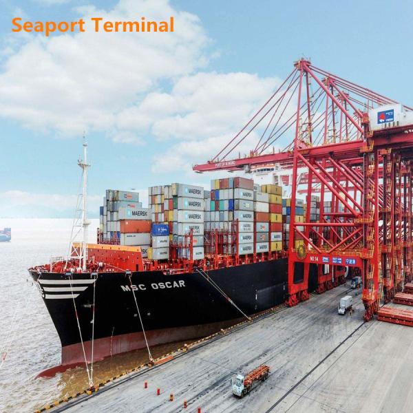 Buy Cargo Duty Included International Freight Forwarder at wholesale prices