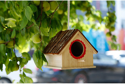 Buy Fortune Paulownia Wooden Bird Nesting Box Wooden Crafts Supplies at wholesale prices
