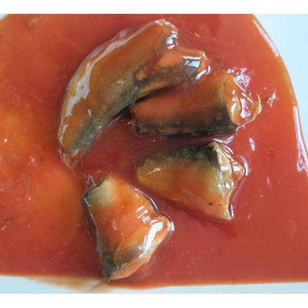 155g Canned Sardine Fish in Tomato Sauce with Hot Chili Pepper
