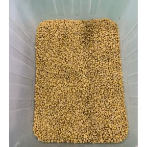 Wenyao Full Automatic 3 Chute Soya Broad Kidney Bean Color Sorter Machine