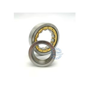 Quality 311EC Cylindrical Roller Bearing NJ311EC NJ311ECJ C3 55*120*29mm for sale