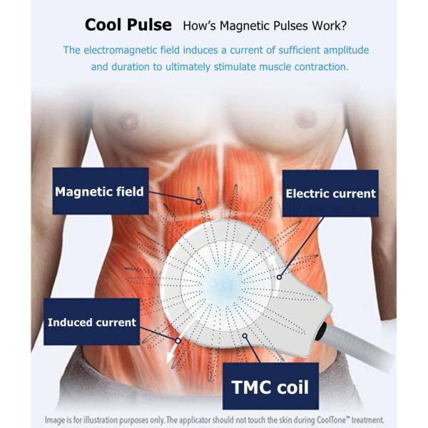 Electromagnetic Electric Muscle Stimulator Machine Fat Reduction Body Fitness 3000W