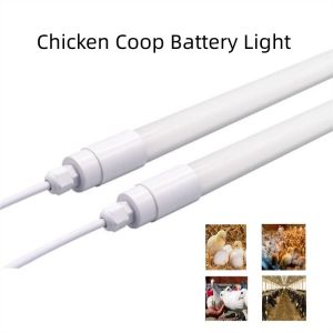Dimmable LED Poultry Light 9W-25W, 50000 Hours, 120-160LM/W, 180degree, IP65/67