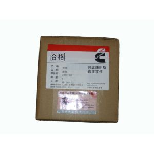 4995266F ISF Cummins Piston,Cummins Parts,Cummins Engine Parts