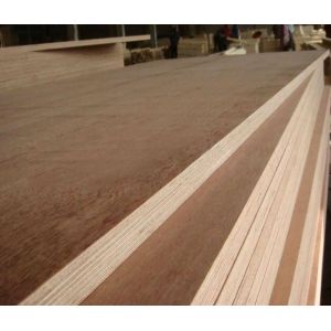 Factory Price 28mm Shipping Container Floor Plywood