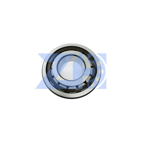 Suitable Hydraulic Pump Bearing External Gear Type SBS140 140