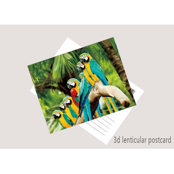 Buy Promotion Cartoon 3D Lenticular Postcard / Flip Lenticular Image Printing at wholesale prices