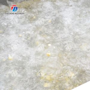 Streamline Your Manufacturing Process with Our Advanced Fruit And Vegetable