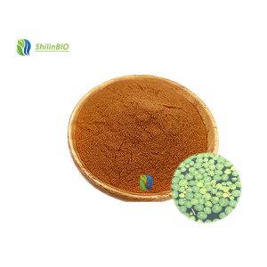China Factory Free Samples 100% Duckweed Leaf Powder Duckweed Powder on sale