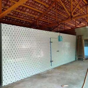 Energy Efficient Cold Room With High Performance PU Panels