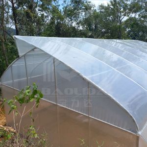 Baolida Sawtooth Greenhouse Cross Roof Agricultural Greenhouse Serre Agricole