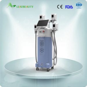 China beauty salon equipment double cryolipolysis machine 4 handles