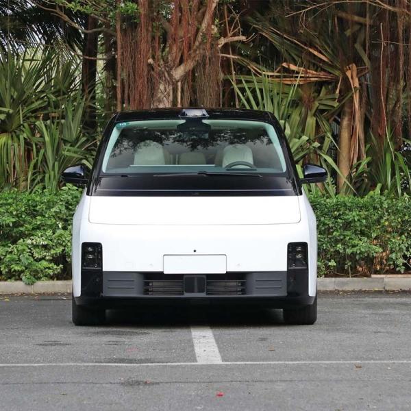 Li Mega Auto EV Car Maximum Torque of Motor 232n.M AWD 7 Seats Long Range Energy
