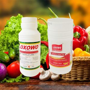 Premium Liquid Fertilizer For Root And Foliar Application