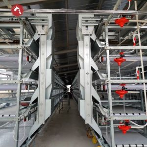 Automatic Egg Layer Chicken Battery Cage 3 Tiers 4 Tiers H Type Poultry Feeding
